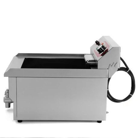 Electric Fryer DZL-13V 10 liters