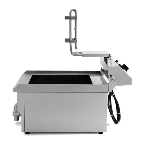 Electric Fryer DZL-13V 10 liters