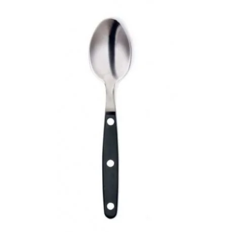 TERNASCO BLACK Table Spoon