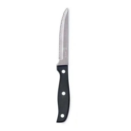 TERNASCO BLACK Serrated steak knife