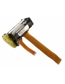 Impresora Termica Balanza  MAXIMA ELM-2241-60 49D240101022