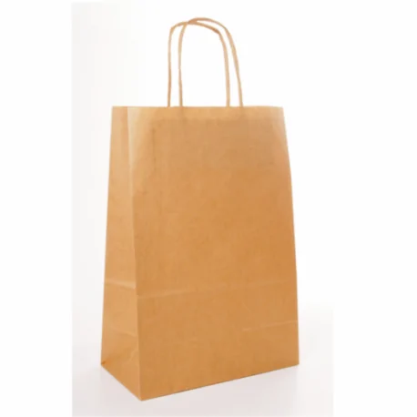 Kraft carrying bag with a handle (box 250 units)
