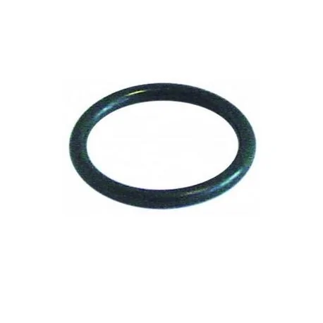 O-ring EPDM thickness 2,62mm ID ø 20,63mm Qty 1 pcs 