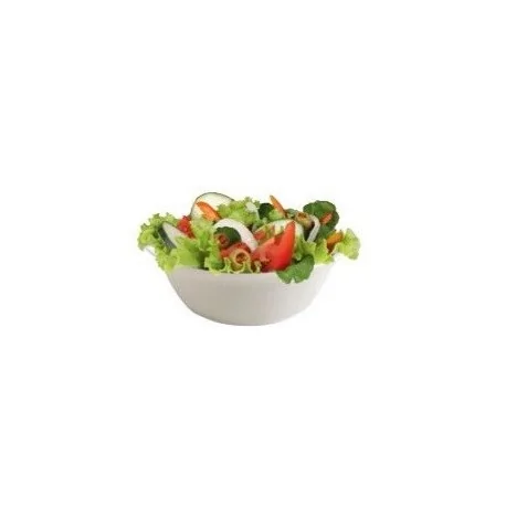  Salad bowl 23 cm ELBA pack of 3 units
