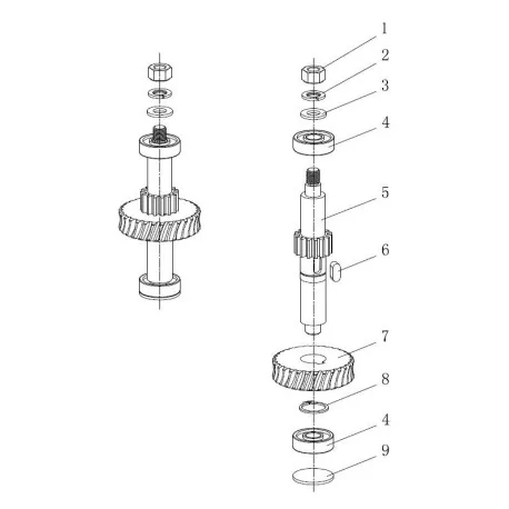 Eje Engranaje 20 Amasadora B20F