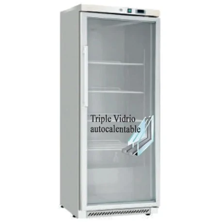 Freezing cabinet BD-400G with transparent door