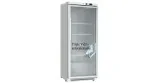 Freezing cabinet BD-400G with transparent door