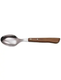 Table Spoon with pack-wood handle ARCOS