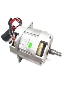 Grupo Motor Picadora Braher P22 1 CV  45043 40550