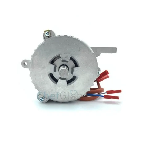 Motor Slicer type RGV Mod.300 Elettromeccanica Visconti H60-425 500973  RGV 00000000425