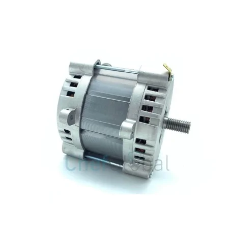 Motor Slicer type RGV Mod.300 Elettromeccanica Visconti H60-425 500973  RGV 00000000425