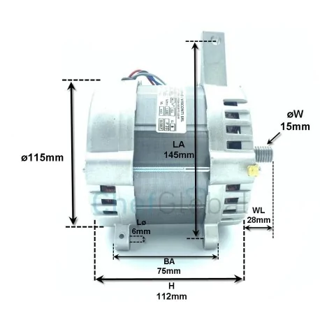 Motor Cortadora RGV Mod.300  Electtromeccanica Visconti Tipo H60-425 500973 RGV 00000000425