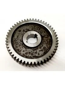  Engrenage en plastique SL-48 Hachoir à viande frais SL 36 dents, arbre de 18mm