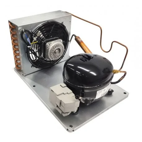 Unidad Condensadora 1/3HP con deshidratador RT EGAS100HLR R134a 220V 50Hz 