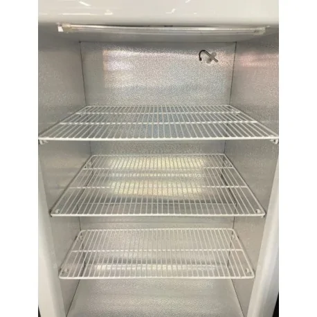 Armario congelador SD-98L