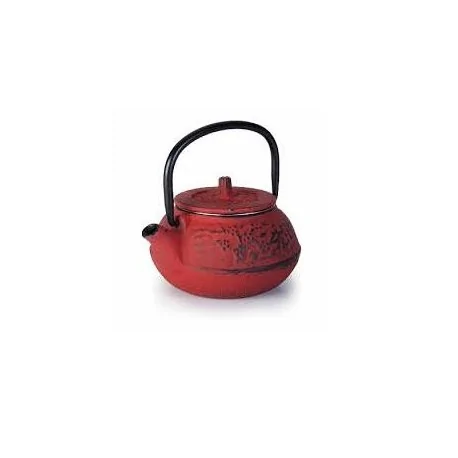 Enameled cast iron teapot