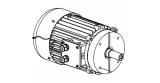 Motor mano derecha Medoc BGR freno III 230-400 V. 50 HZ. 3 CV. 300 33415 + tornillo motor rosca izquierda 35041