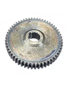 Electric Stuffer Gear...