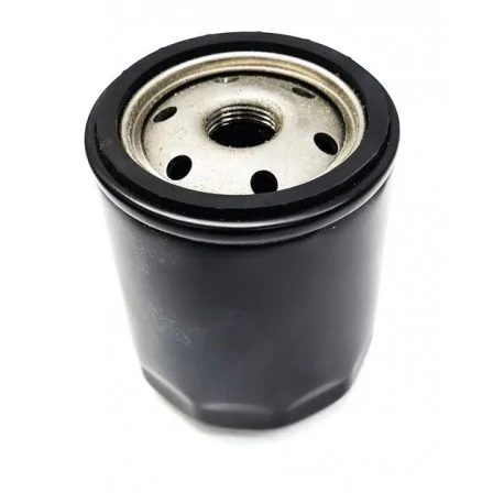 Filtro Envasadora al vacío Lavezzini DVP 1809001