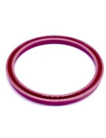 Seal 38-47-7 TC Seal Succo