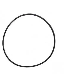 Junta del Pistón Embutidora SF-350