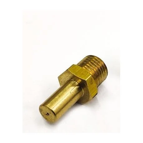 Injecteur M12x1,25  14mm Gaz Naturel GG Plaque Hauteur 32mm Trou 2mm