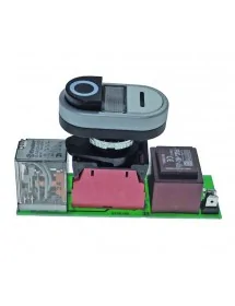 230V Relay Board model...