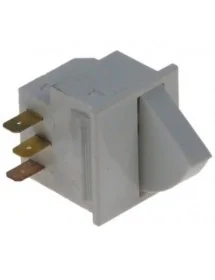 microswitch with key with...