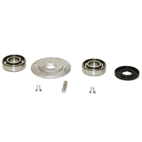 Sammic PP-6-12 potato peeler lid bearings 519781 2009309