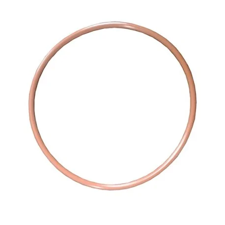 Caoutchouc Piston Poussoirs modèle Mainca EC-12