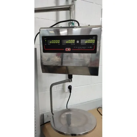 Hanging scale FW IV12T (SECOND HAND)