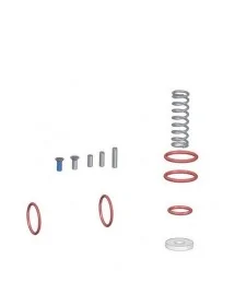 Gasket kit tap Zumex Speed...