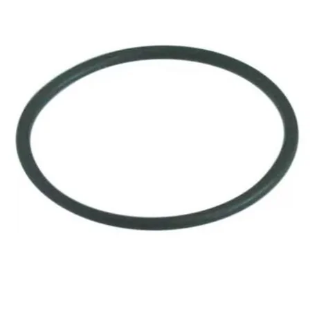O-ring Filter WZ-40 10404-000 thickness 2.6mm ØInterior 39mm