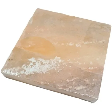 Bloc de sel de l'Himalaya pour mûrisseur de viande RT-480B 200x200x30mm 12236057