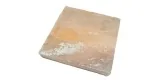 Bloc de sel de l'Himalaya pour mûrisseur de viande RT-480B 200x200x30mm 12236057