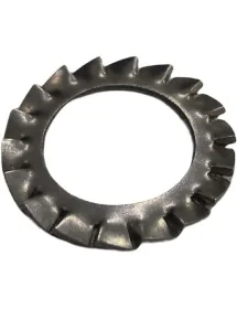 Rondelle dentée inox M20...