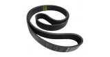 Courroie Poly-V J-7 891 Flexonic 50Hz Sammic