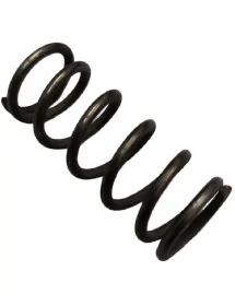 Ressort de filtre pour...