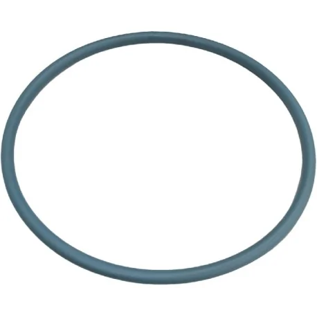 Old Talsa H26P Stuffer Lid Gasket ØOuter 306x12mm Green Silicone round profile 7046