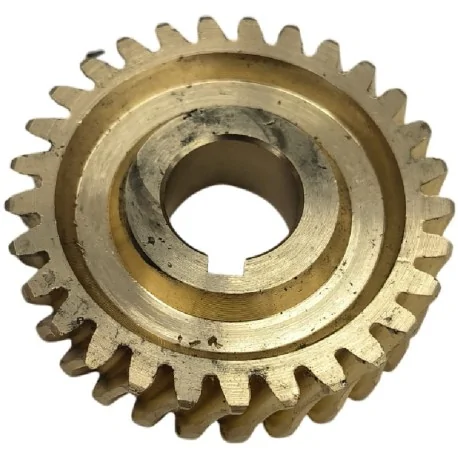 Engranaje amasadora B20B Despiece 49 Ø63mm Eje...