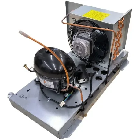 Unidad Condensadora 1/4HP RT EM2X3121U R290...