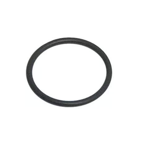 O-ring EPDM thickness 2mm ID ø 21mm Qty 1 pcs VPE 1 Stück 100809