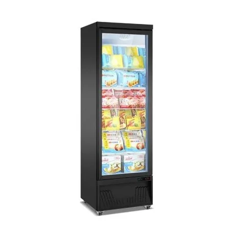 Freezing cabinet model BDG620-1M