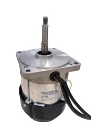 OMS meat slicer motor -...