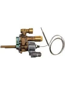 Type de vanne MTZ22300...