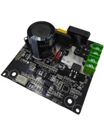 Placa electrónica amasadora...