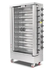 Vertical chicken rotisserie...