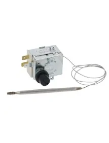 thermostat de sécurité LS1...