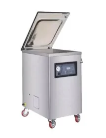 Envasadora al vacío DZ-500/2L