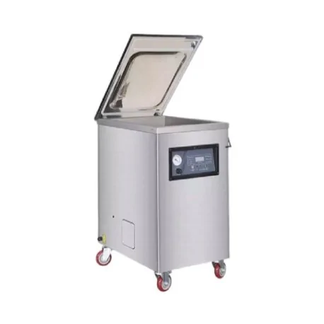 Emballeuse sous vide DZ-400 / 2L